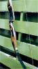 Click to view VArchery_Pinto_18_t1.jpg