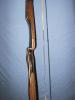 Click to view VArchery_Pinto_4_t1.jpg
